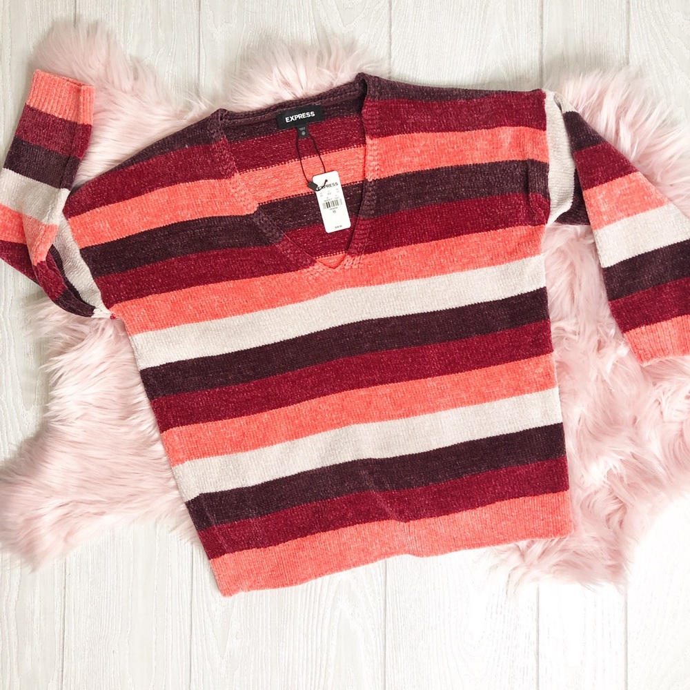 Express BNWT sweater
